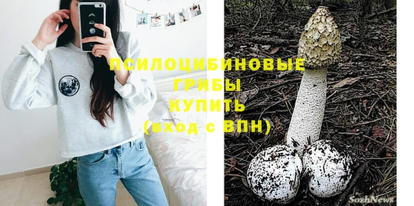 гидропоника Абаза