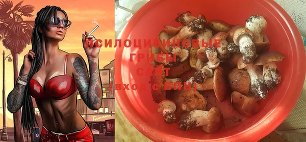 гидропоника Абаза