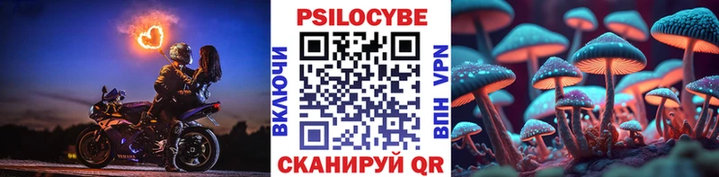 Псилоцибиновые грибы Psilocybine cubensis Адыгейск